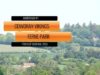 Tyro Cup Semifinal 2025 – Ferne Park vs Cowdray Vikings