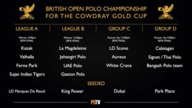 Cowdray Gold Cup Draw