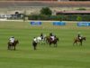 Polo Nations Cup Semifinal 2025 – Argentina vs France Paca – Highlights